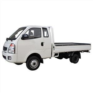 3ton-super-cab-small-ev-truck27100174129